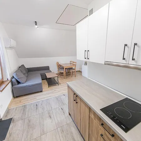 Lider House Energy Zator