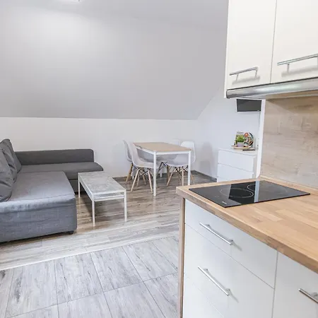 Lider House Energy Zator