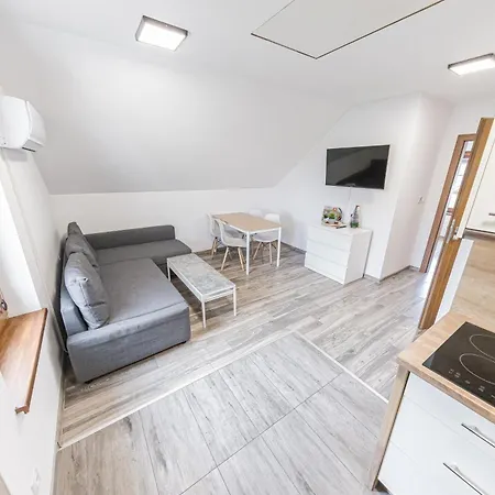 Lider House Energy Apartment *