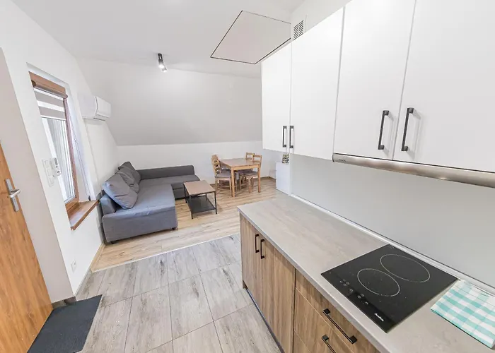 Lider House Energy Zator