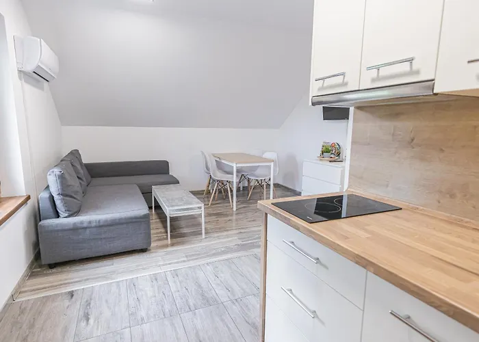 Lider House Energy Zator