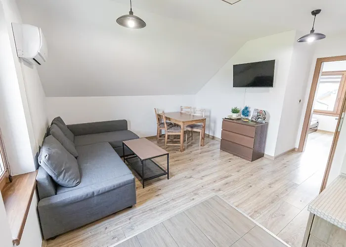 Lider House Energy Zator